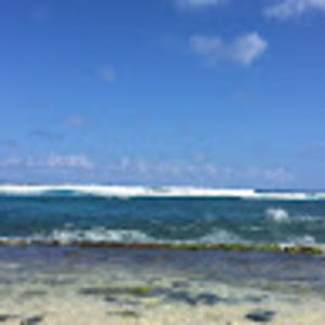 Meet your Posher, Alexandra